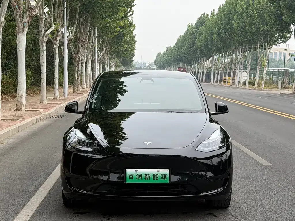 Tesla Model Y — фото 1