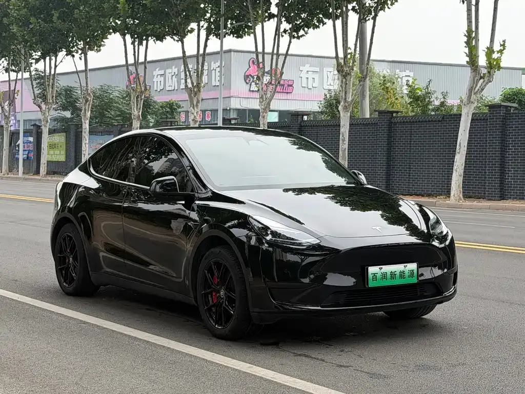 Tesla Model Y — фото 6