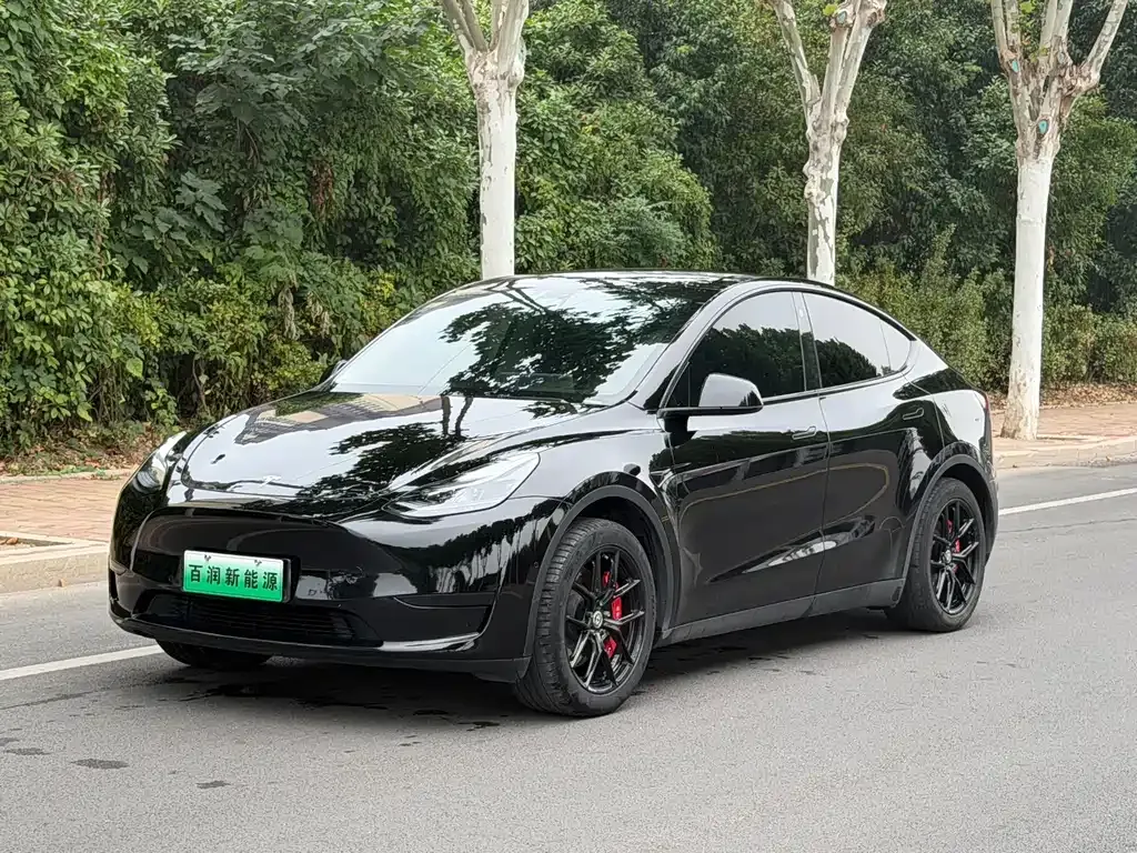 Tesla Model Y — фото 7