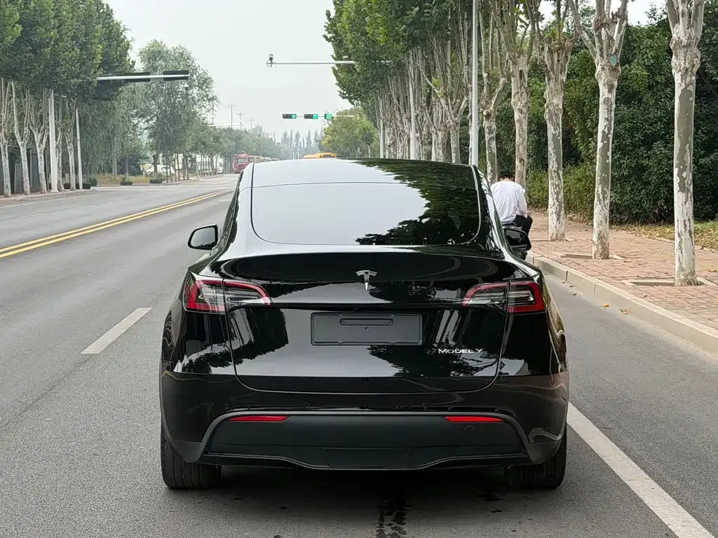 Tesla Model Y — фото 4