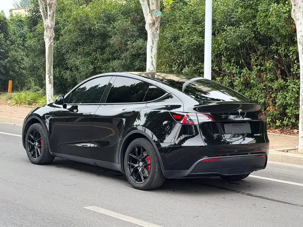 Tesla Model Y — фото 3