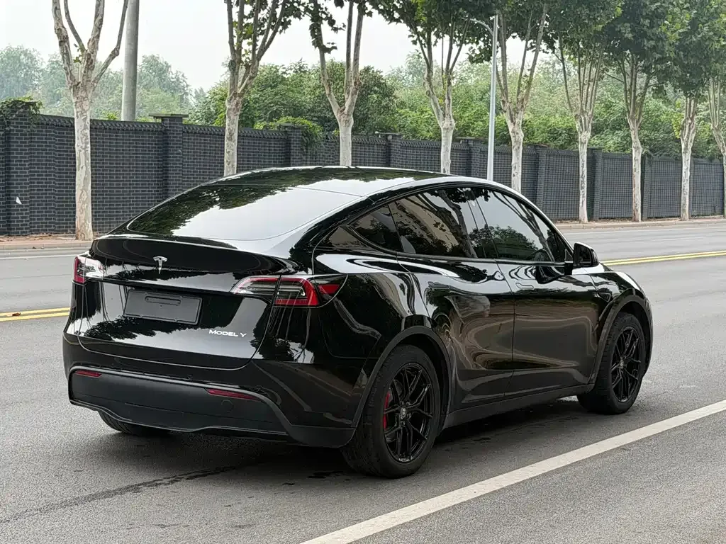 Tesla Model Y — фото 5
