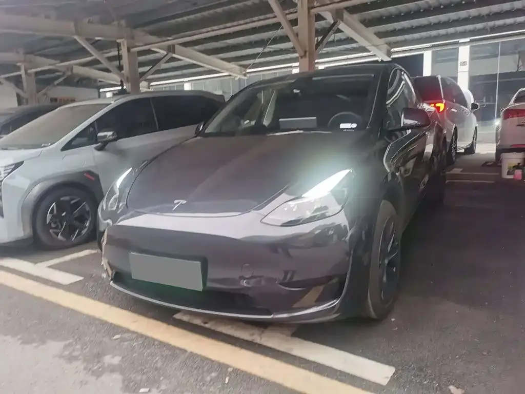 Tesla Model Y — фото 1