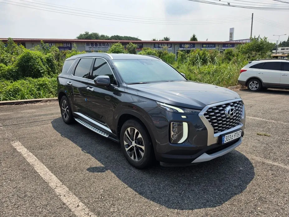 Hyundai Palisade — фото 10