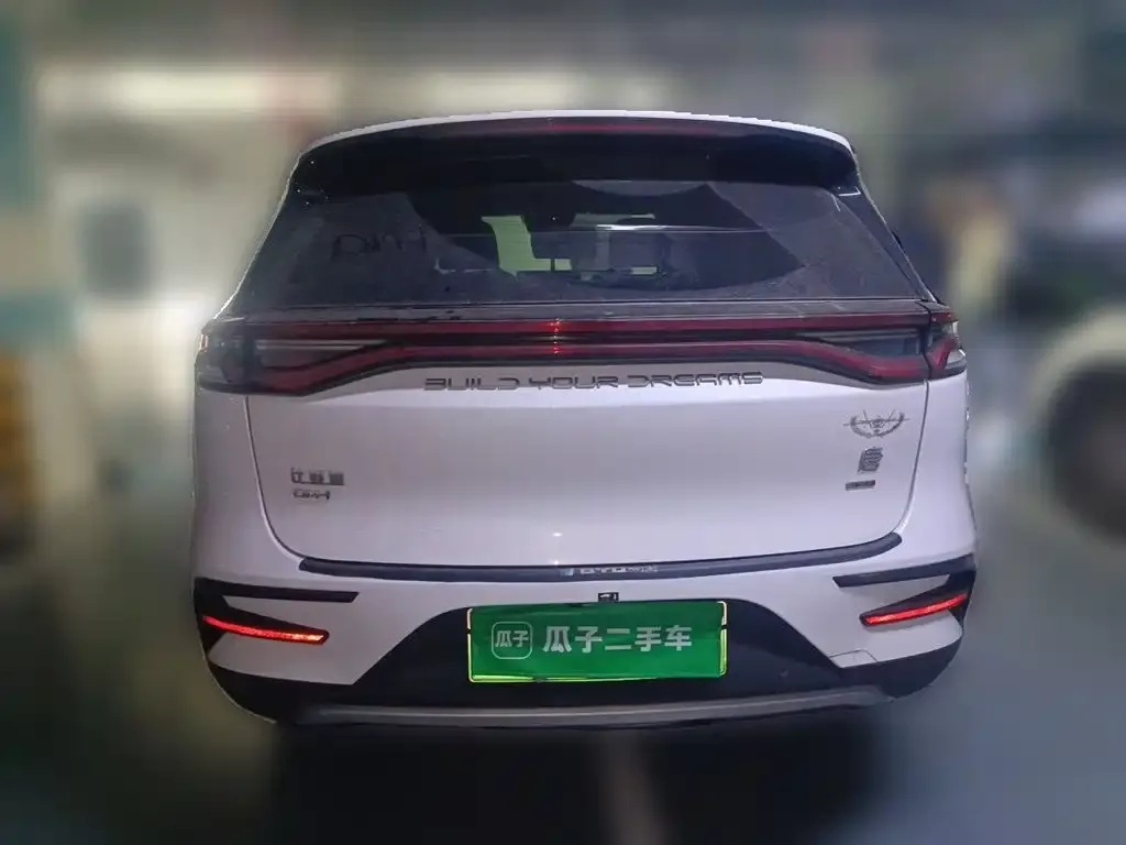 BYD Tang New Energy — фото 6