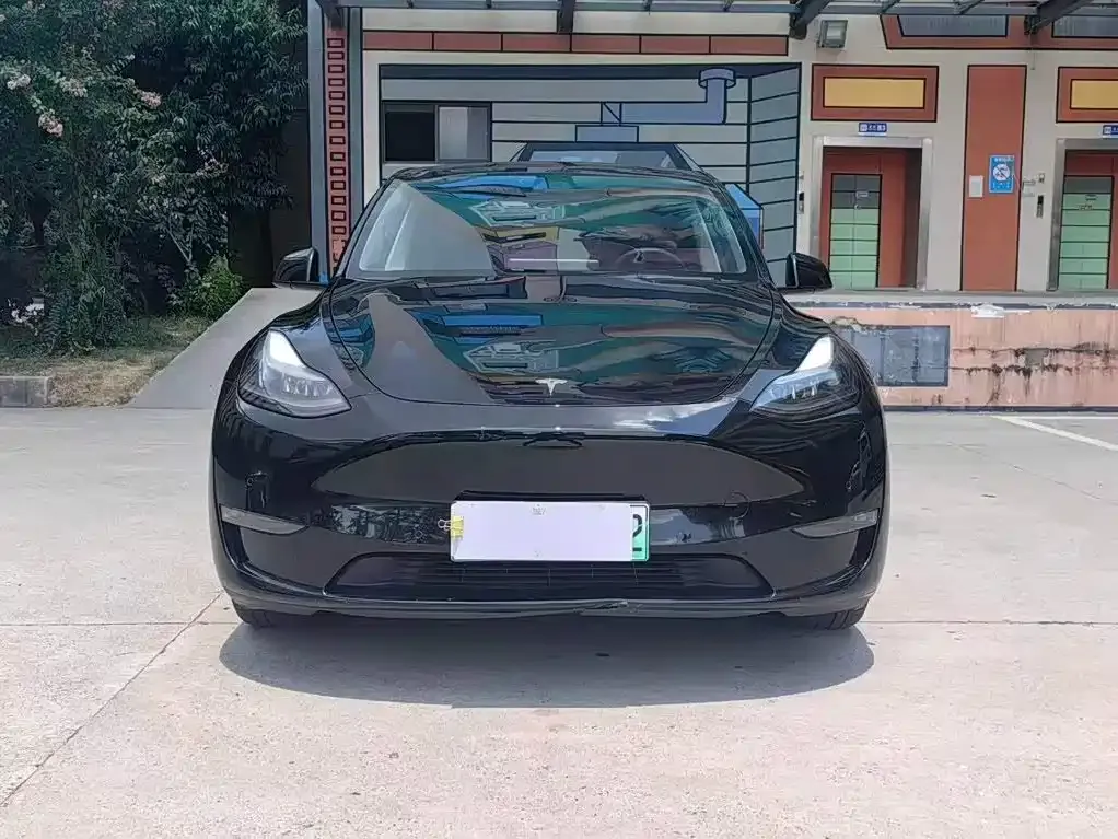 Tesla Model Y — фото 8