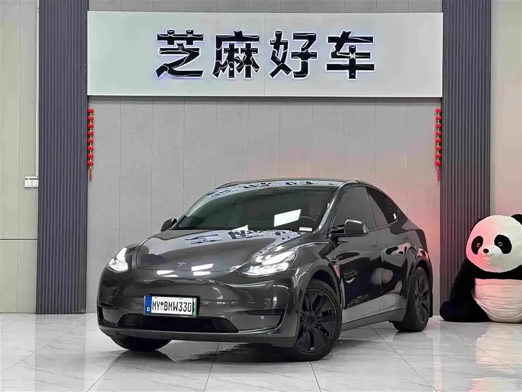 Tesla Model Y — фото 1