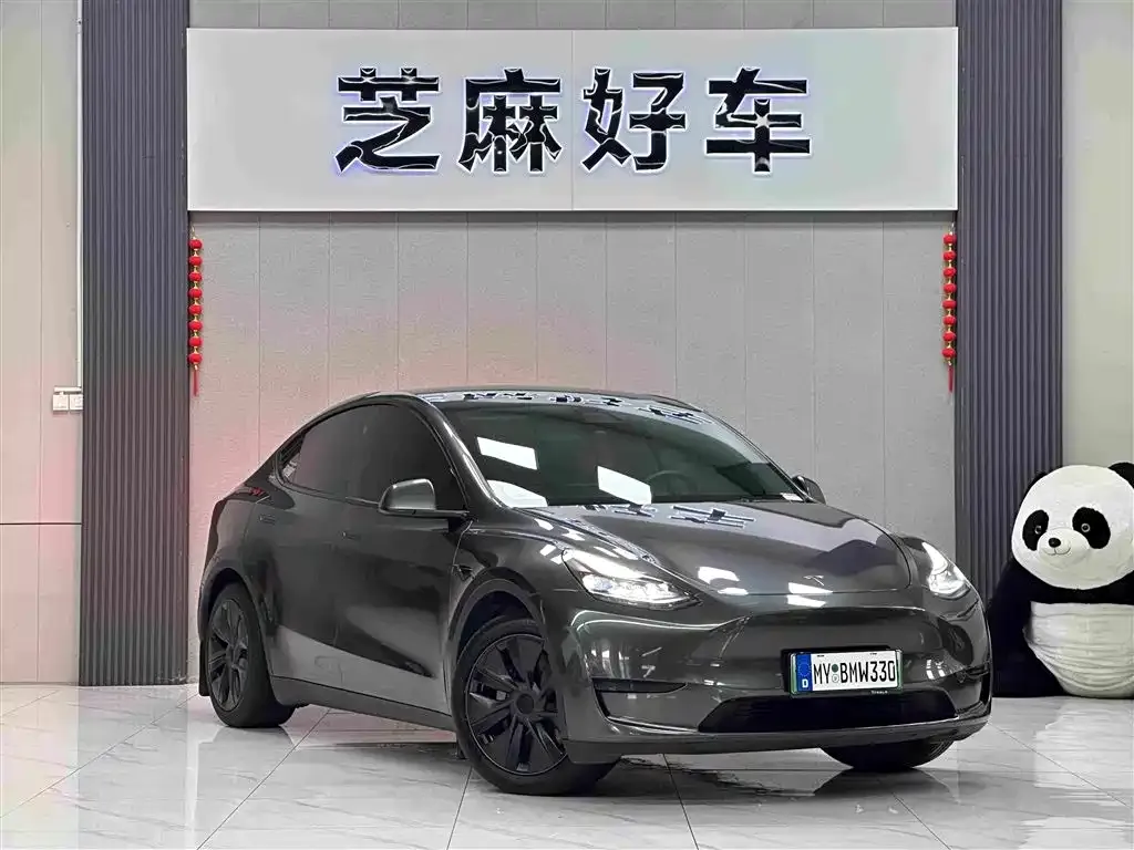 Tesla Model Y — фото 2