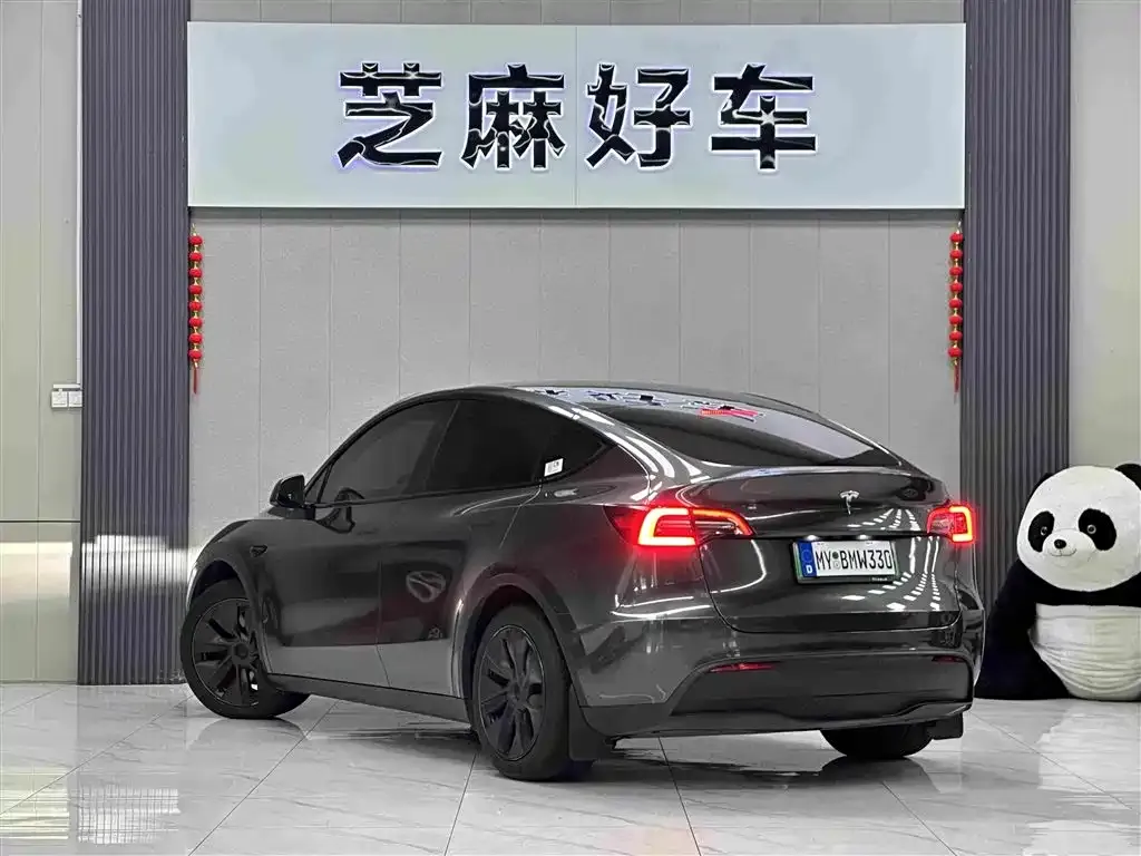 Tesla Model Y — фото 8