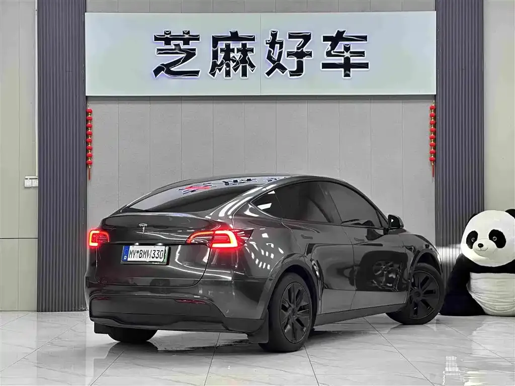 Tesla Model Y — фото 10