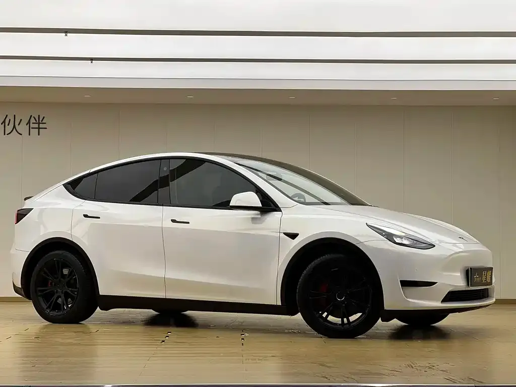 Tesla Model Y — фото 5