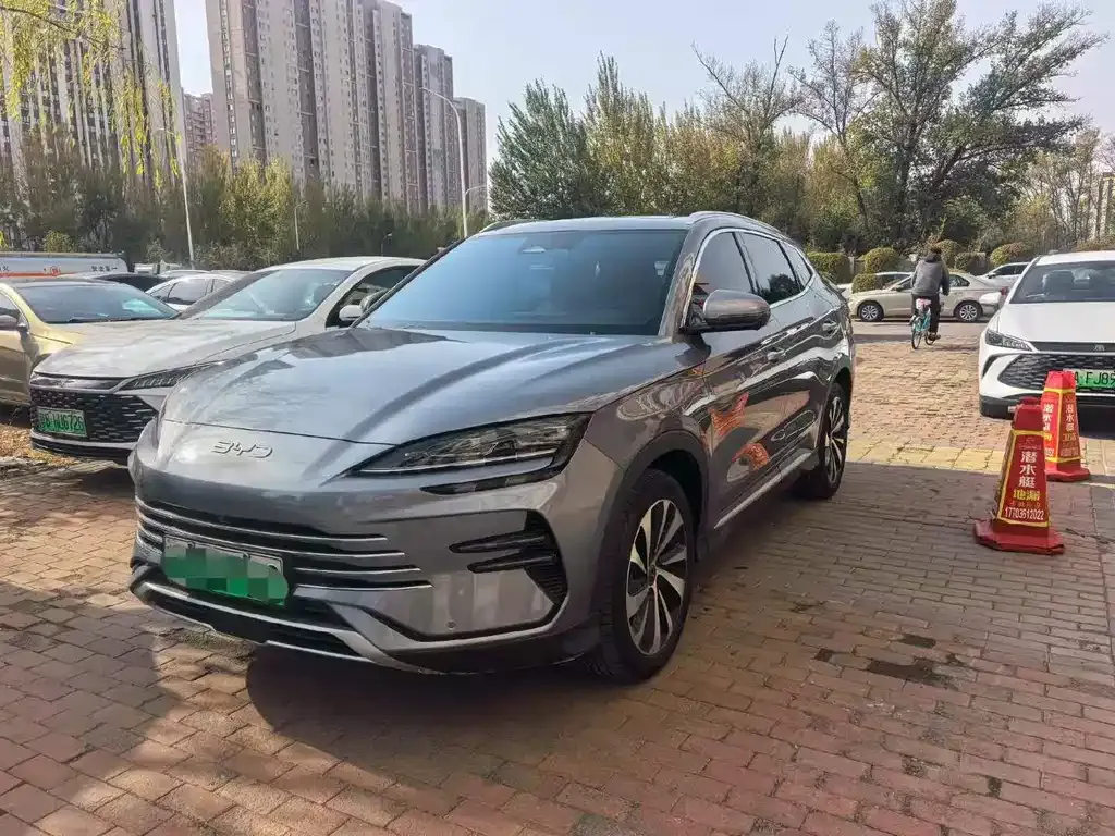 BYD PLUS New Energy — фото 1