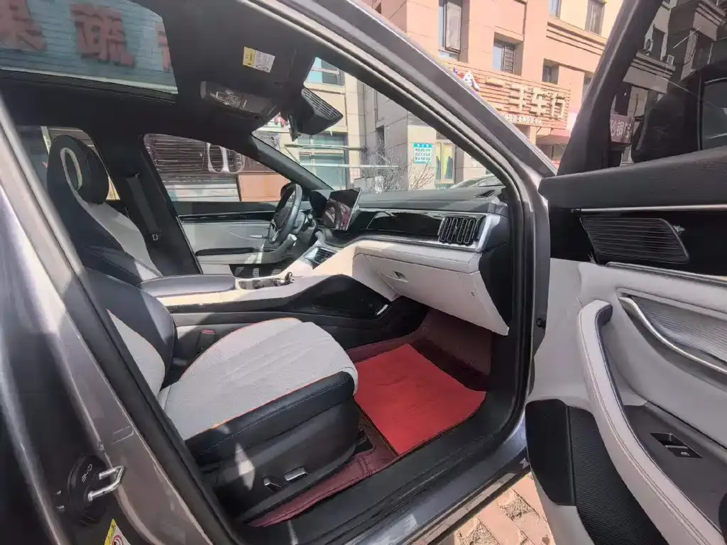 BYD PLUS New Energy — фото 3