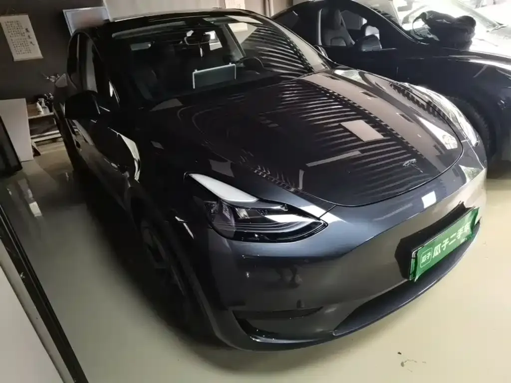 Tesla Model Y — фото 10