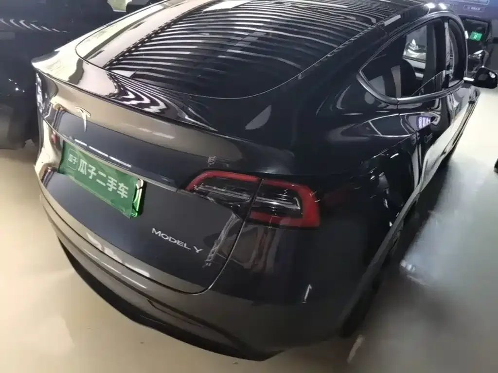 Tesla Model Y — фото 9