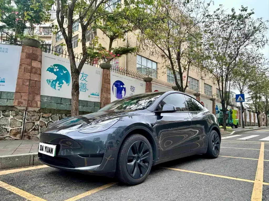Tesla Model Y — фото 1