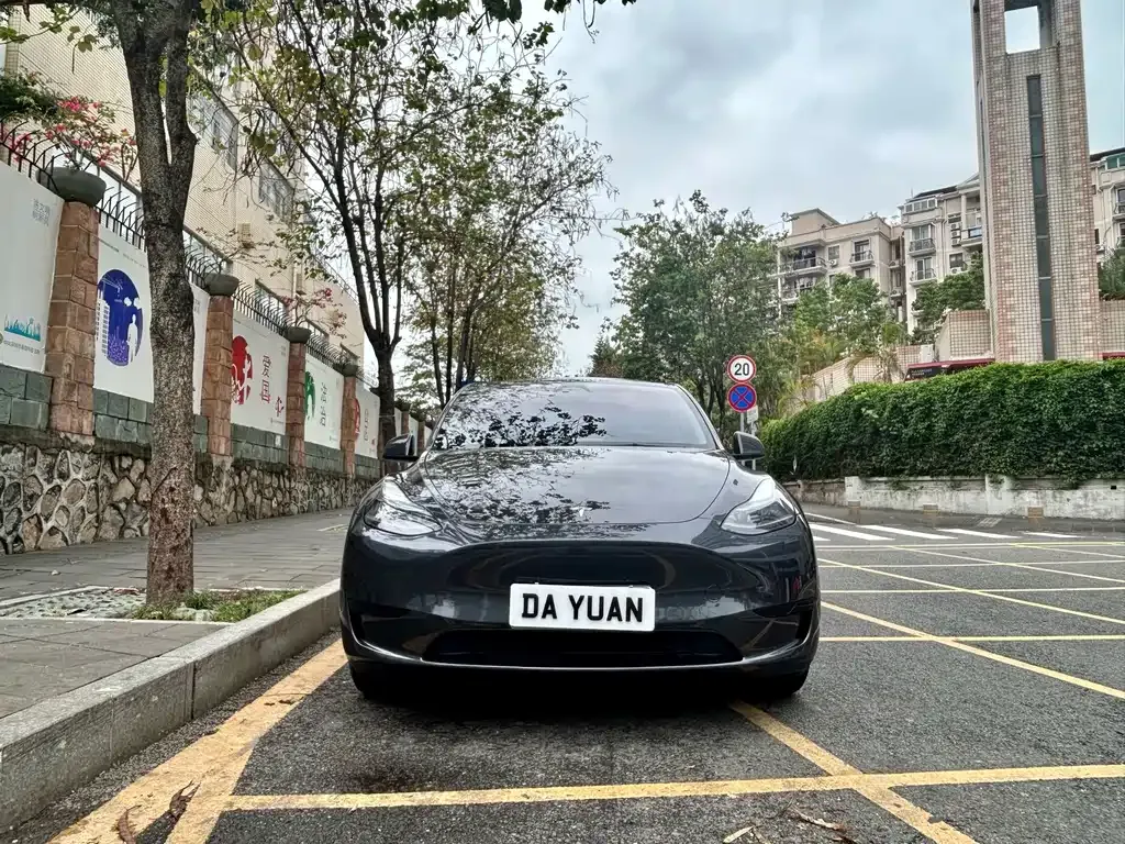 Tesla Model Y — фото 6