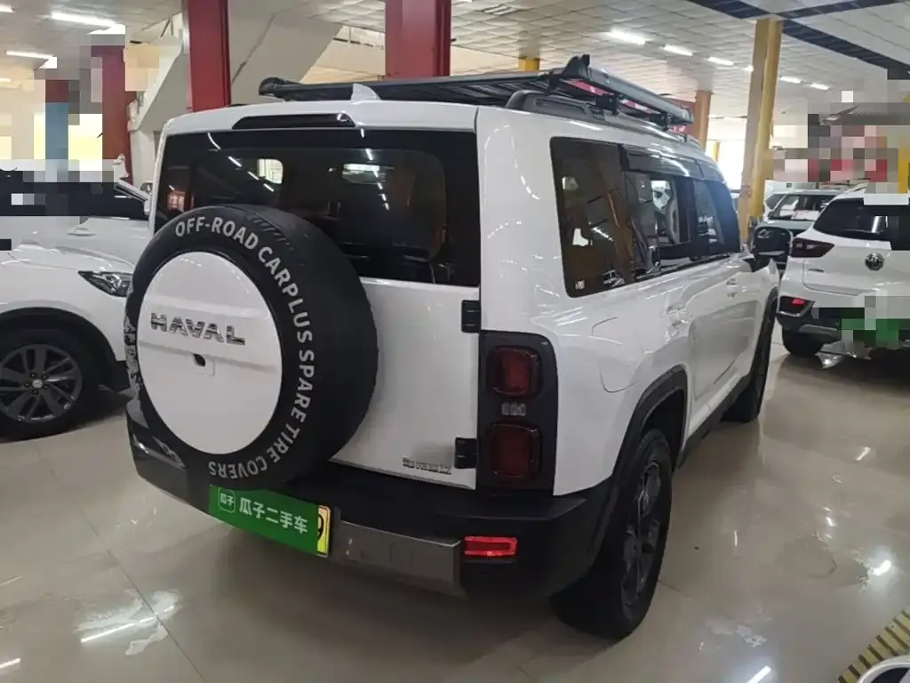 Haval Menglong New Energy — фото 10