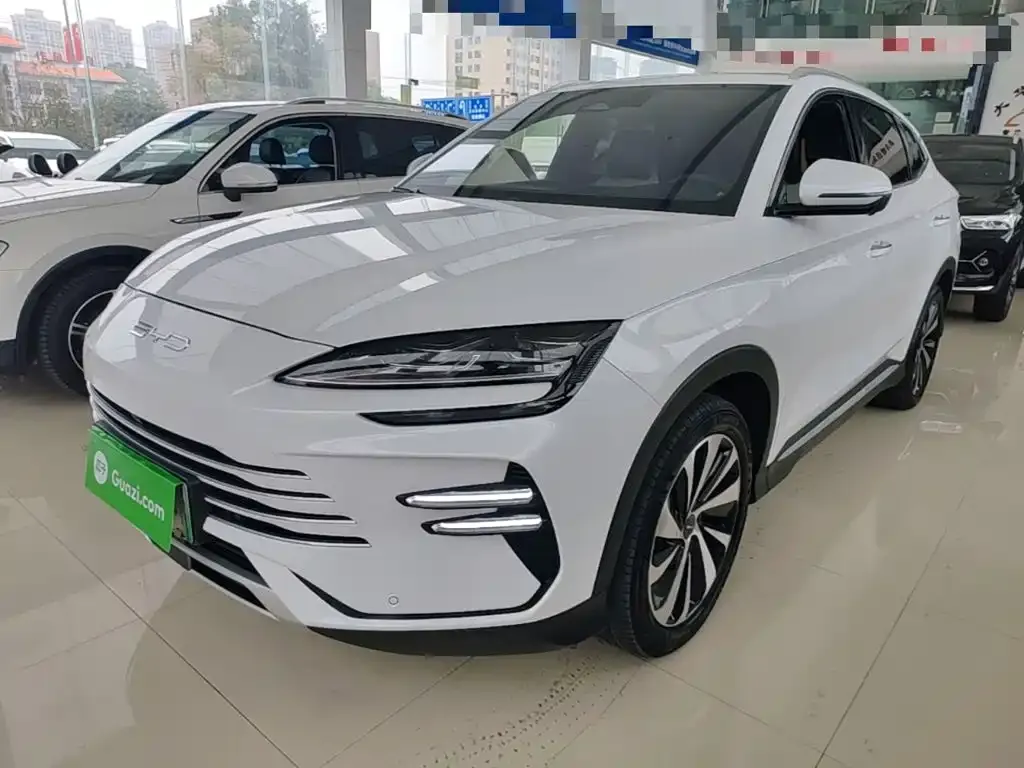 BYD PLUS New Energy — фото 1