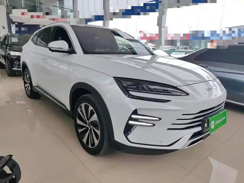 BYD PLUS New Energy — фото 7