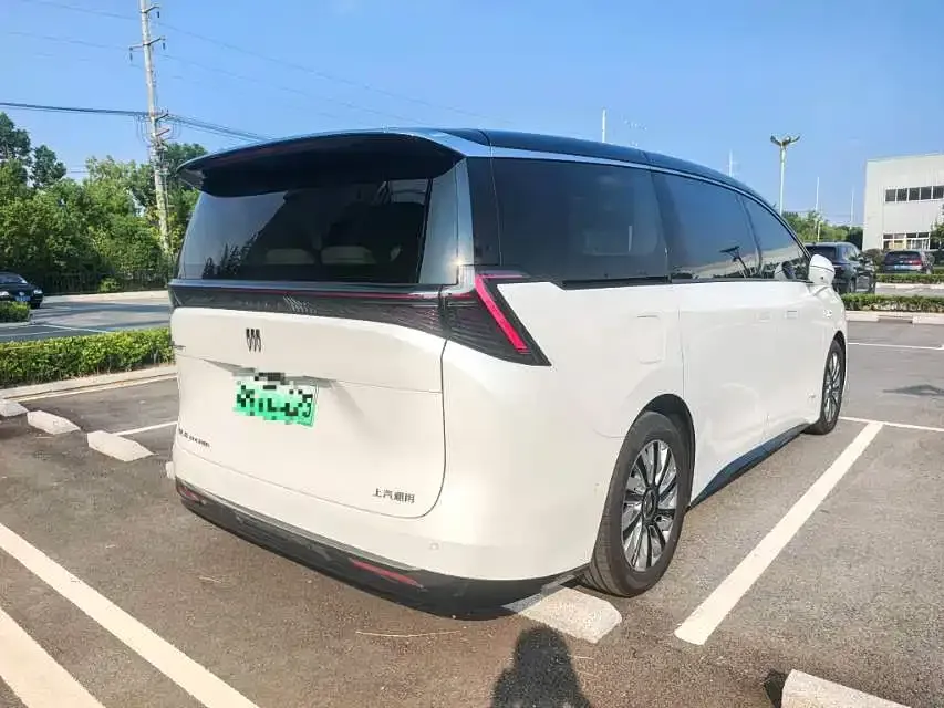 Buick Electra Encasa — фото 7