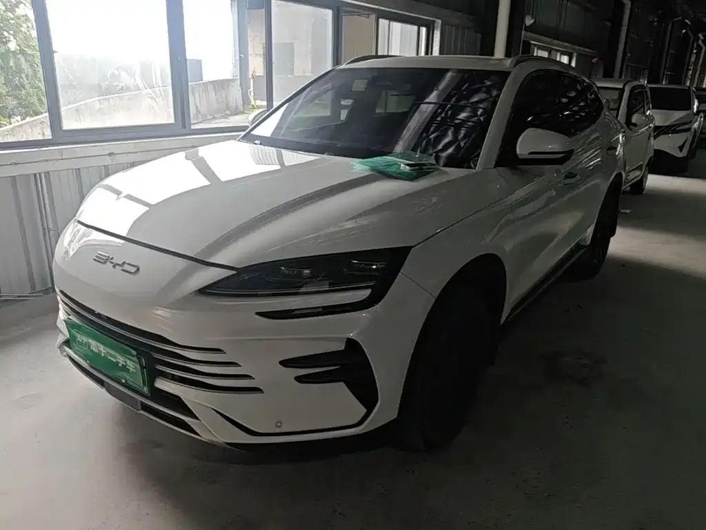 BYD PLUS New Energy — фото 1