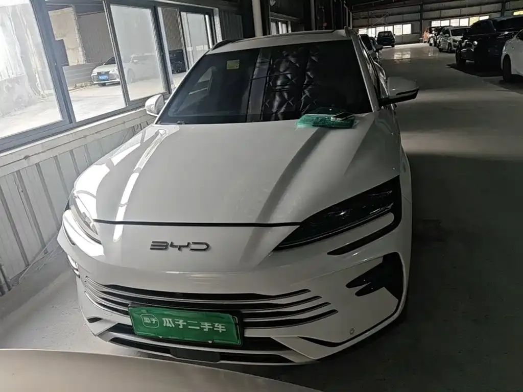BYD PLUS New Energy — фото 6