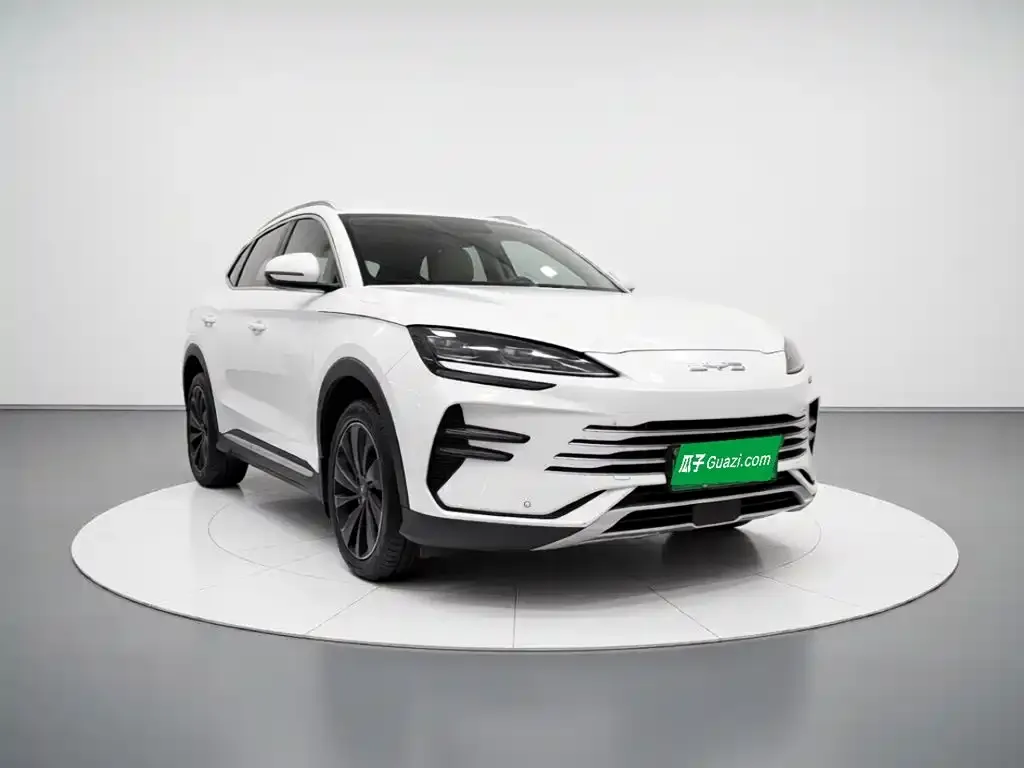 BYD PLUS New Energy — фото 8