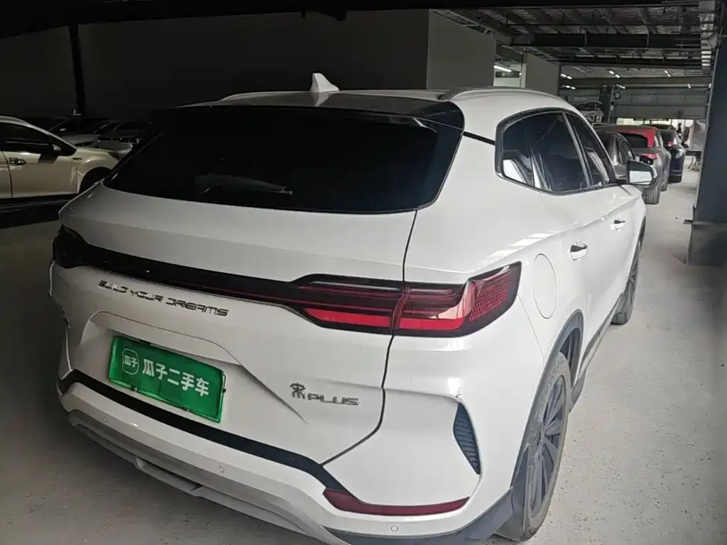 BYD PLUS New Energy — фото 10