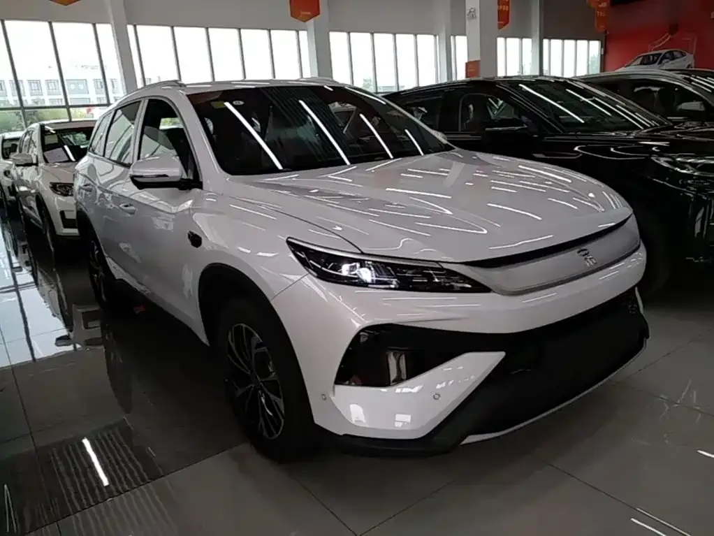 BYD Pro New Energy — фото 5