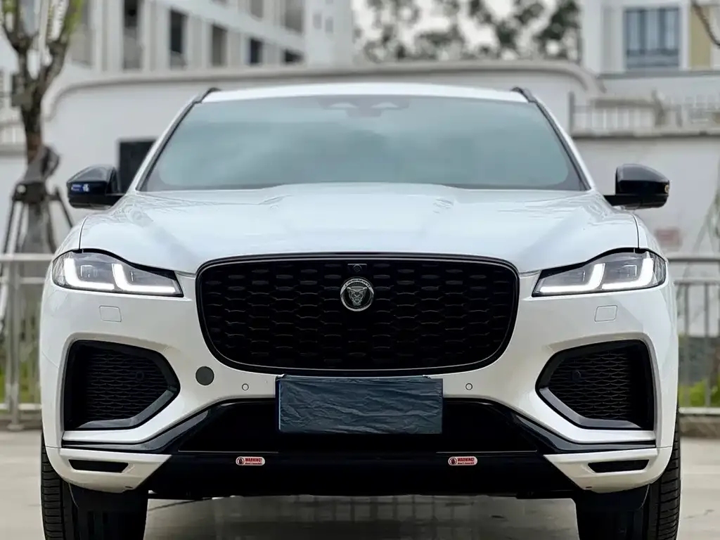 Jaguar F-PACE — фото 8