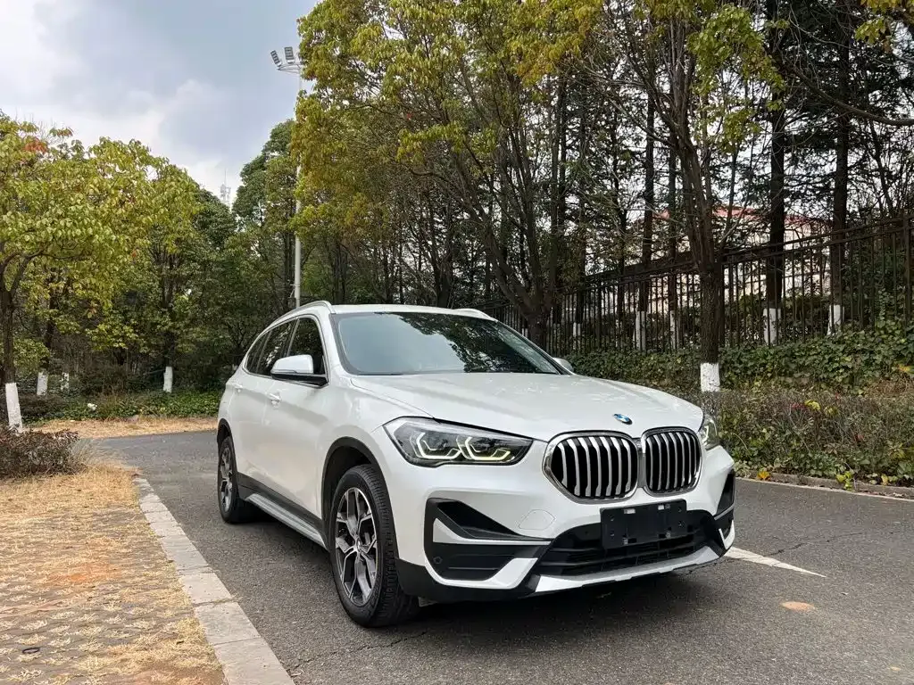 BMW X1 — фото 8