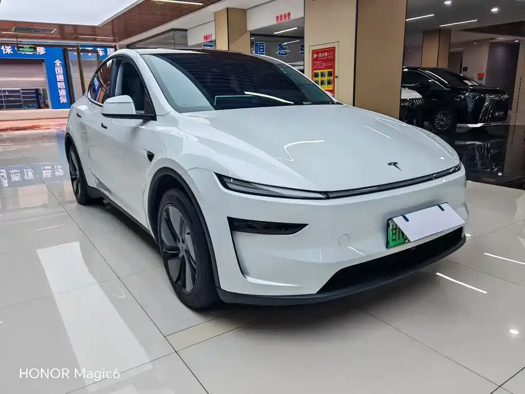 Tesla Model Y — фото 6