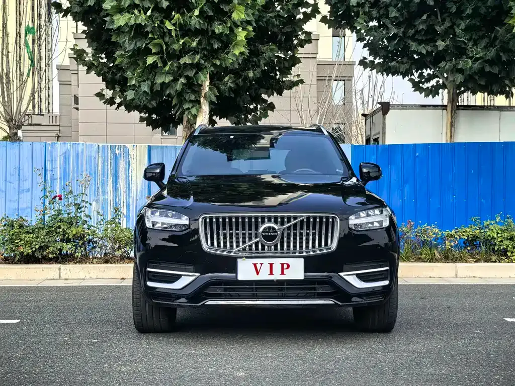 Volvo XC90 — фото 6