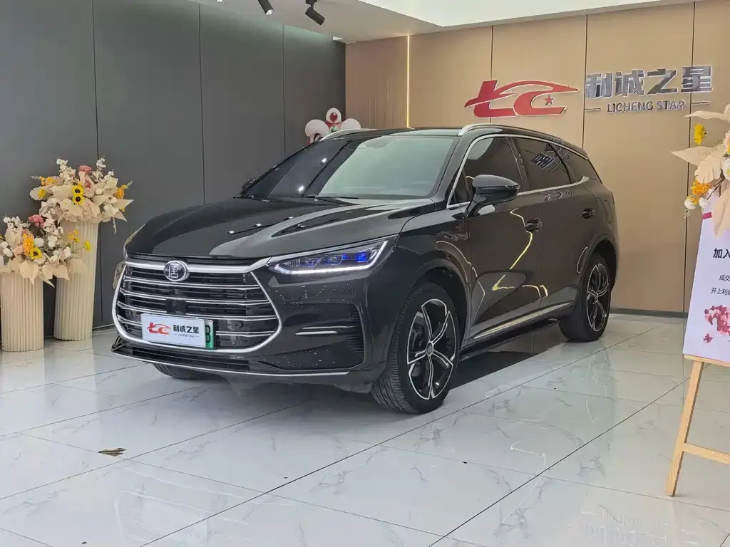 BYD Tang New Energy — фото 1