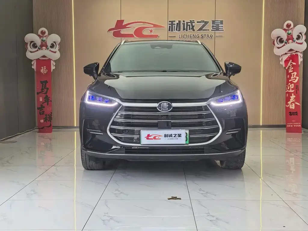 BYD Tang New Energy — фото 9