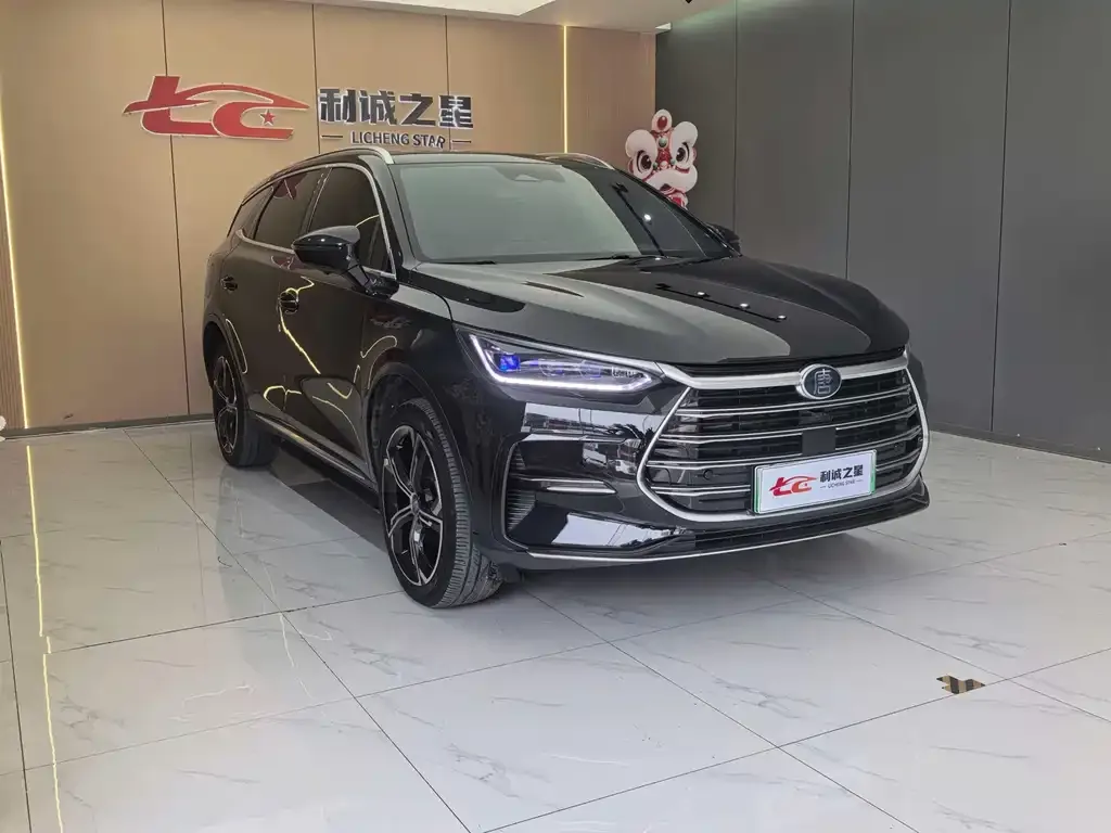 BYD Tang New Energy — фото 2