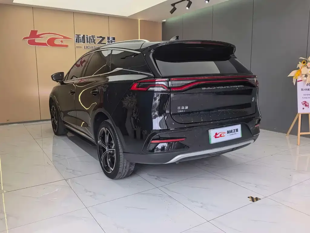 BYD Tang New Energy — фото 10