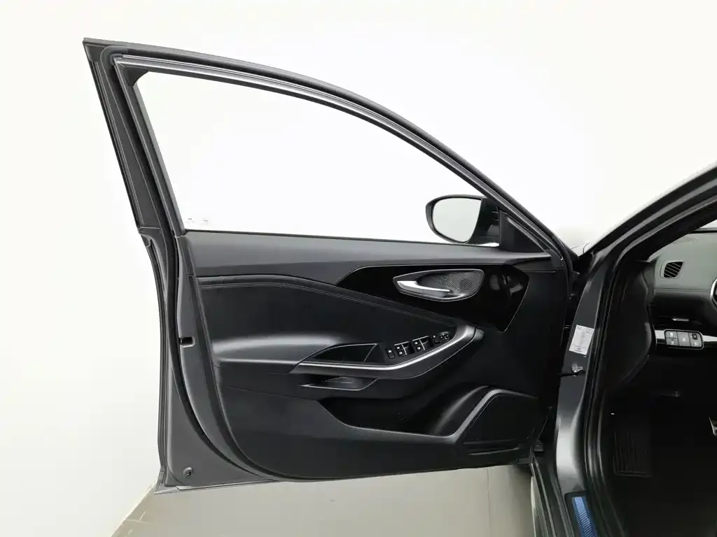 Hyundai Fista — фото 10