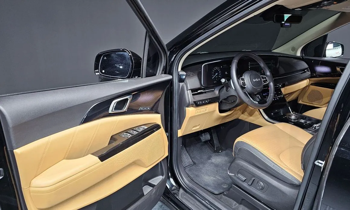 Kia Carnival — фото 10