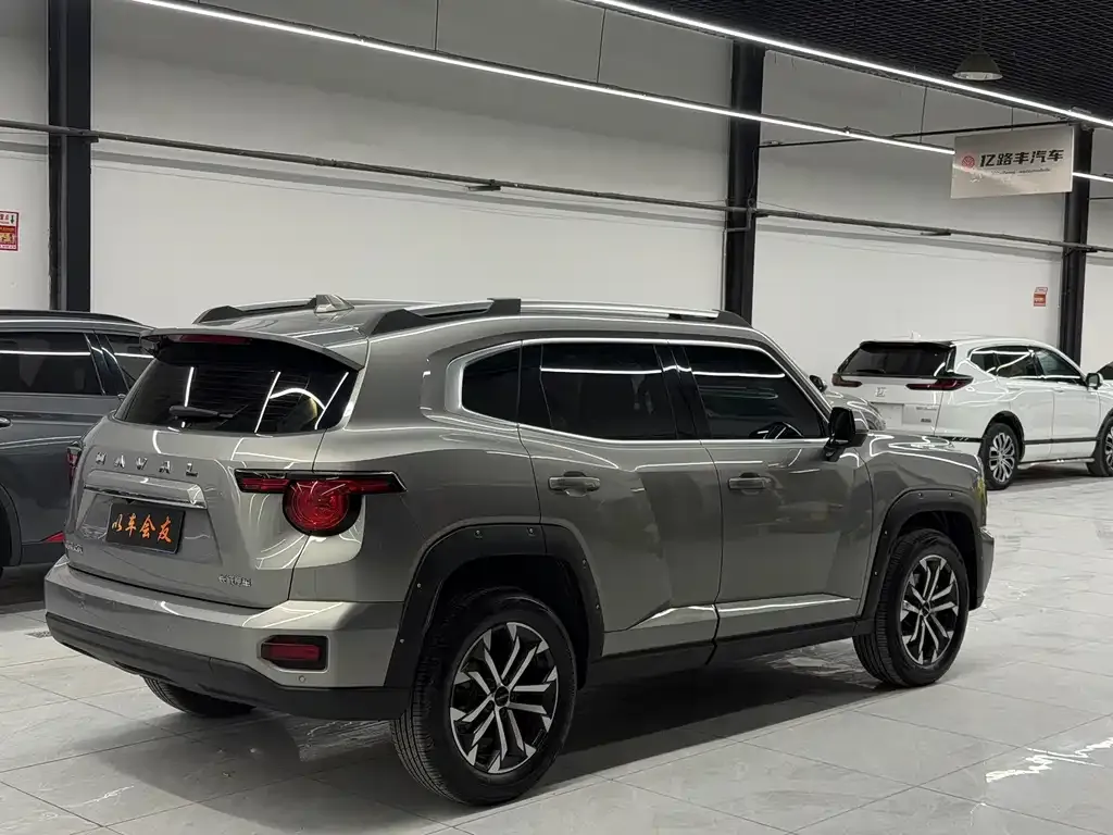 Haval Big Dog PLUS — фото 9