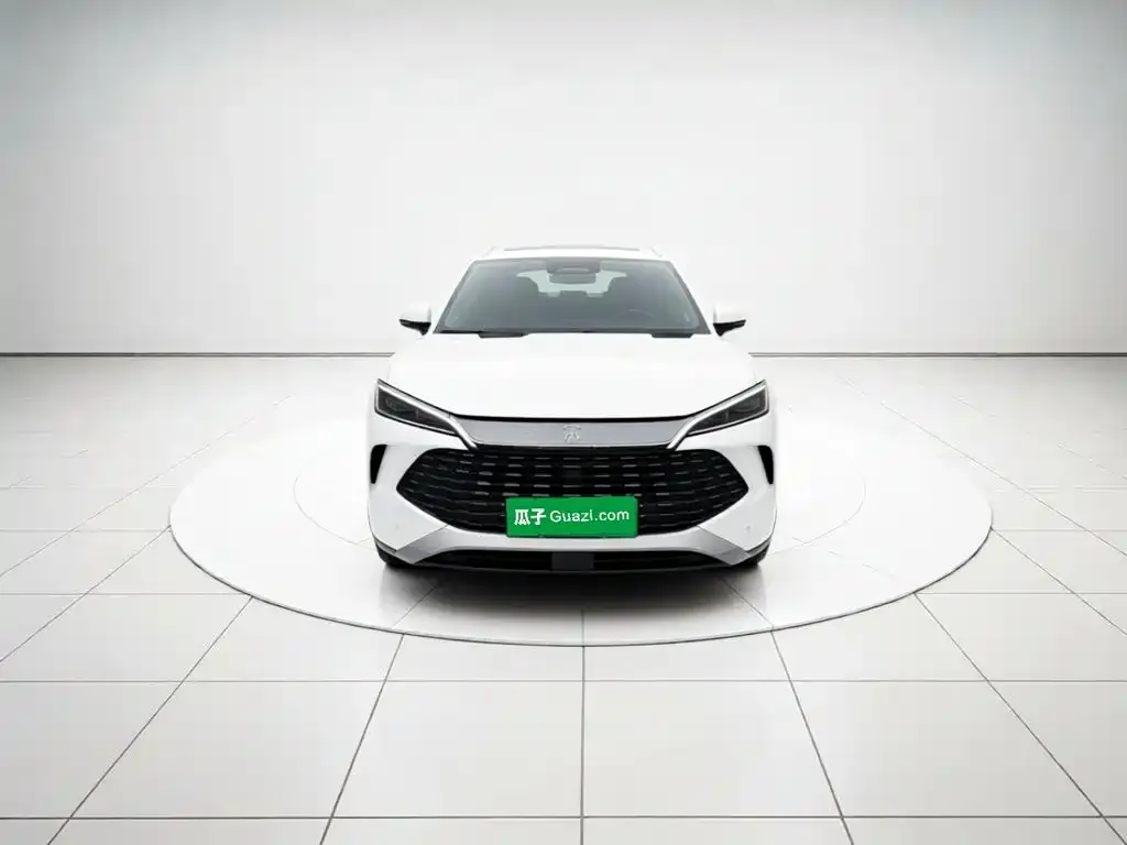 BYD L DM-i — фото 2