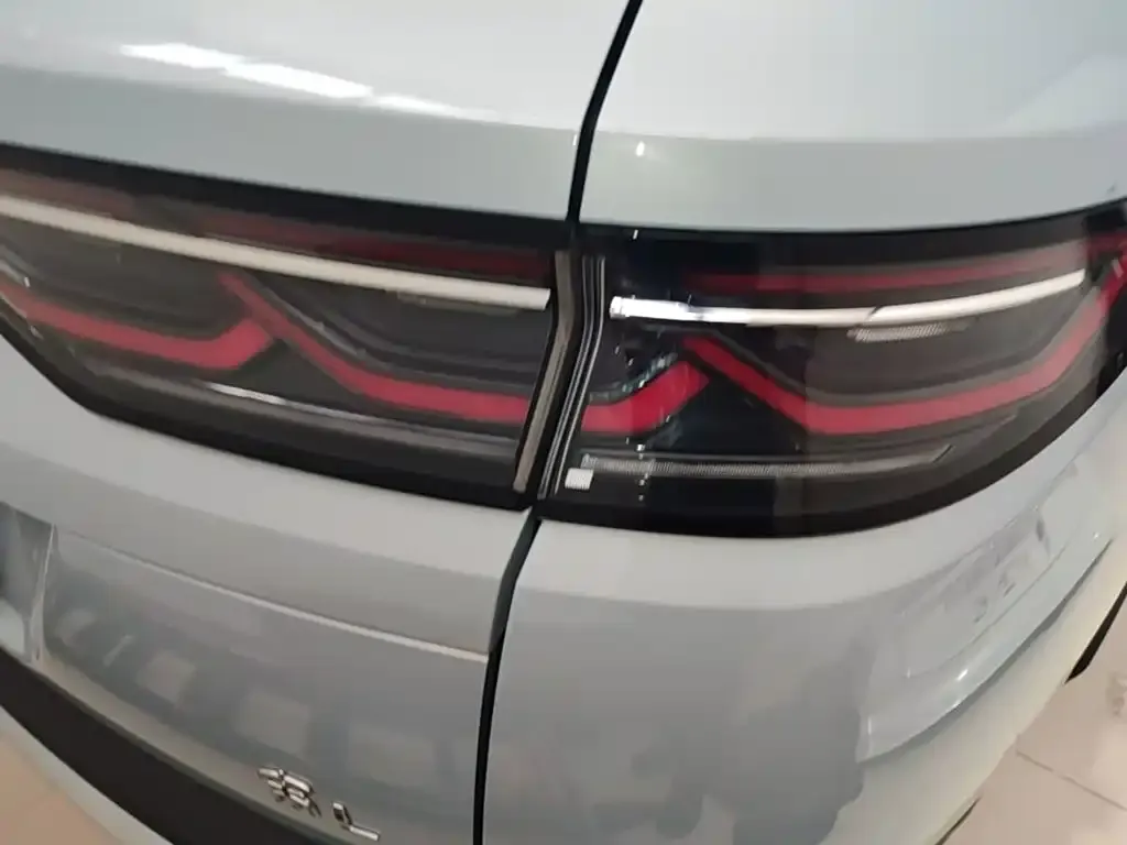 BYD L DM-i — фото 4