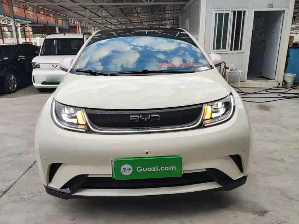 BYD Dolphin — фото 9