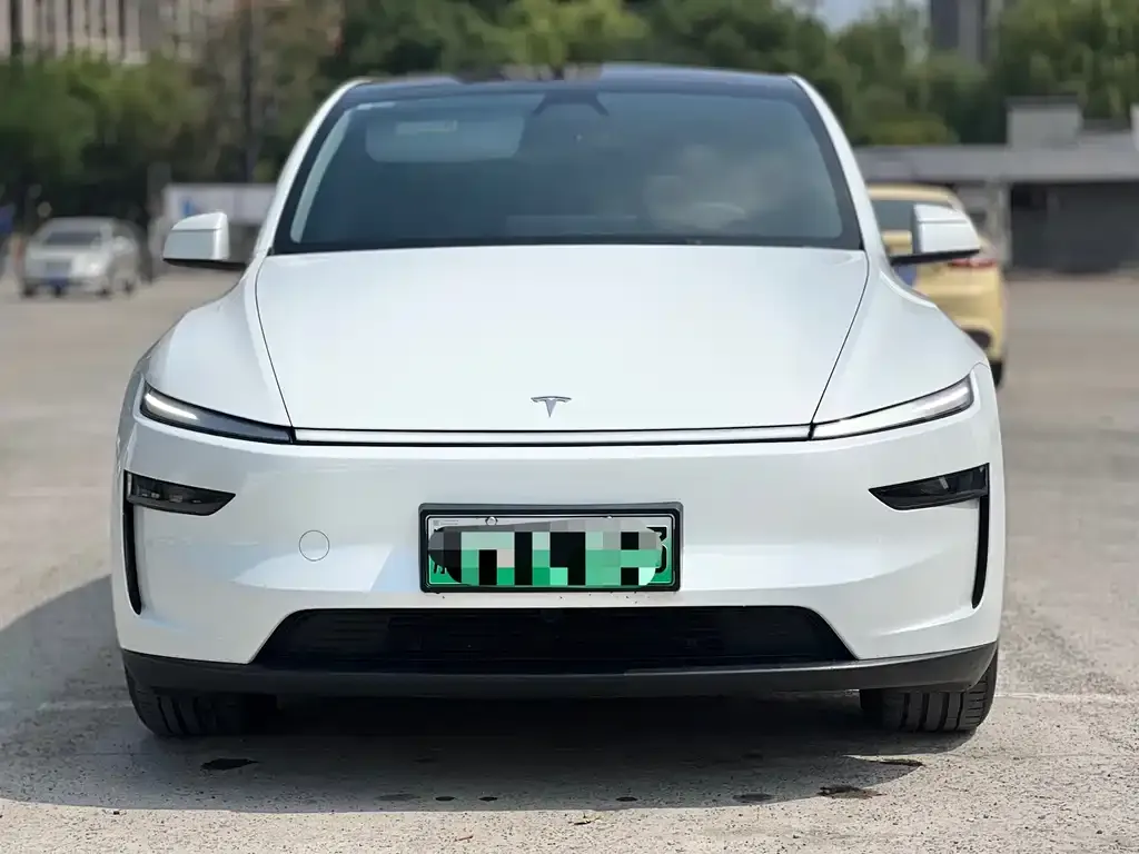 Tesla Model Y — фото 2