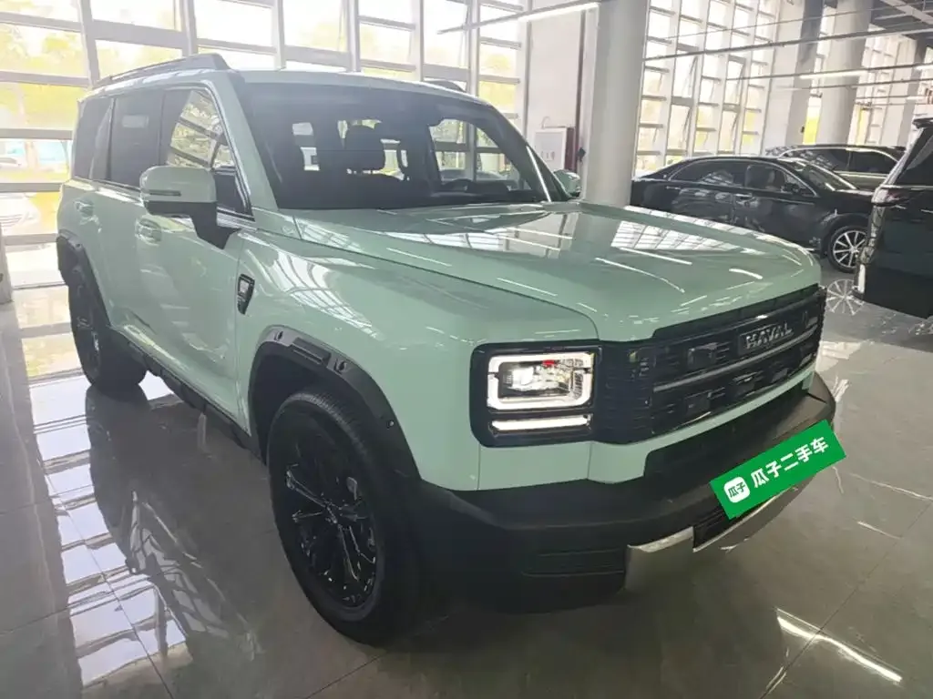 Haval Menglong New Energy — фото 8