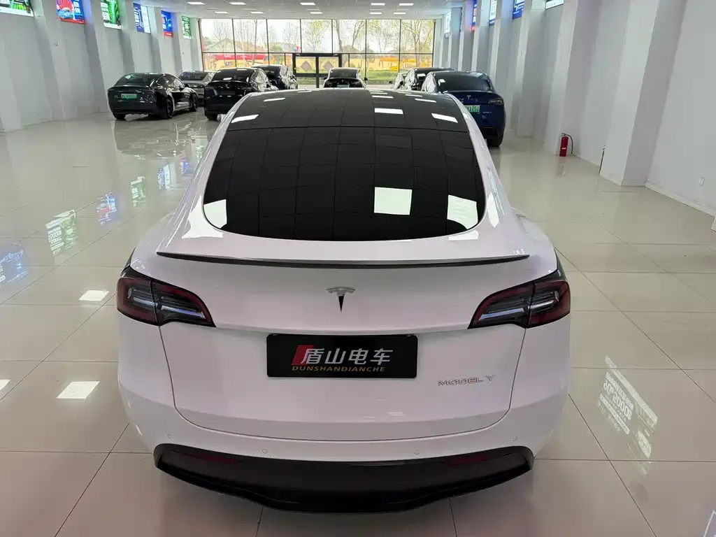 Tesla Model Y — фото 8