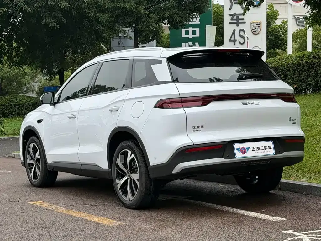 BYD Pro New Energy — фото 7