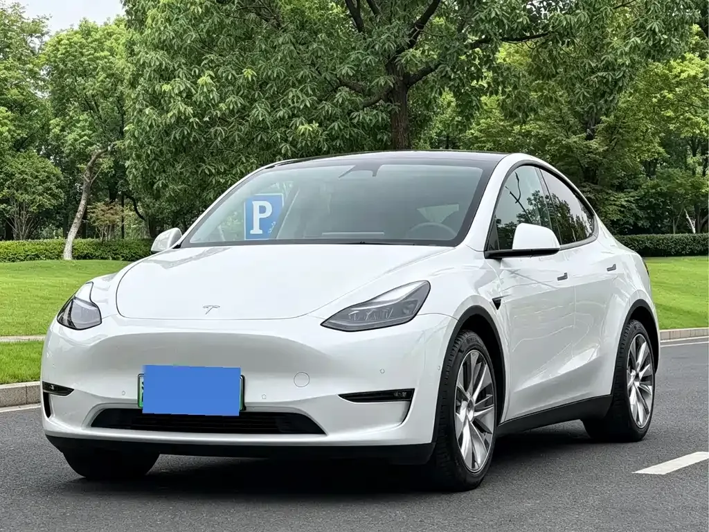 Tesla Model Y — фото 1