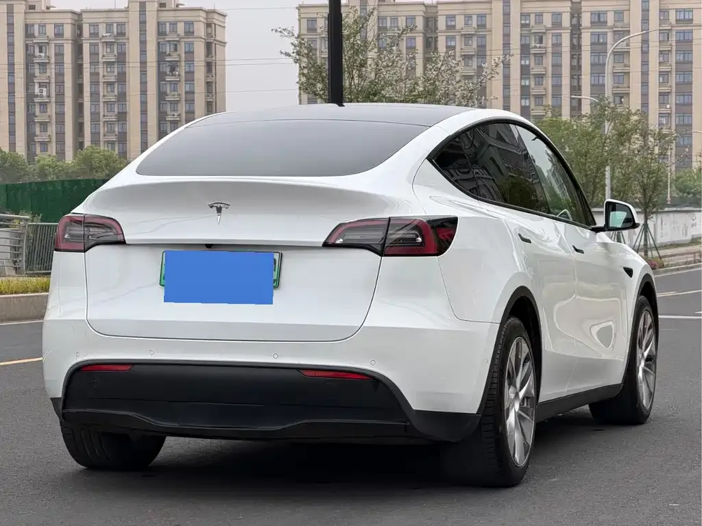 Tesla Model Y — фото 3